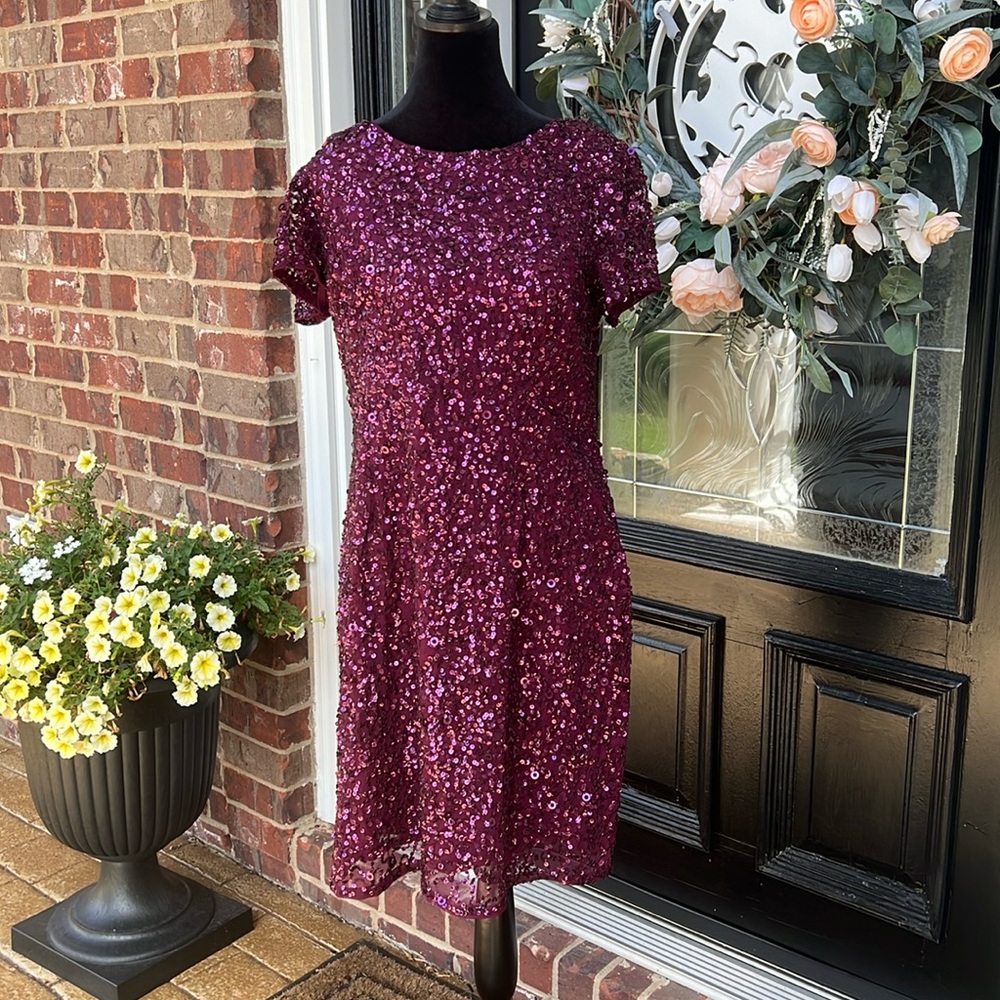 Adriana Papell Cranberry Sequin Dress